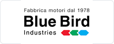 blue-bird