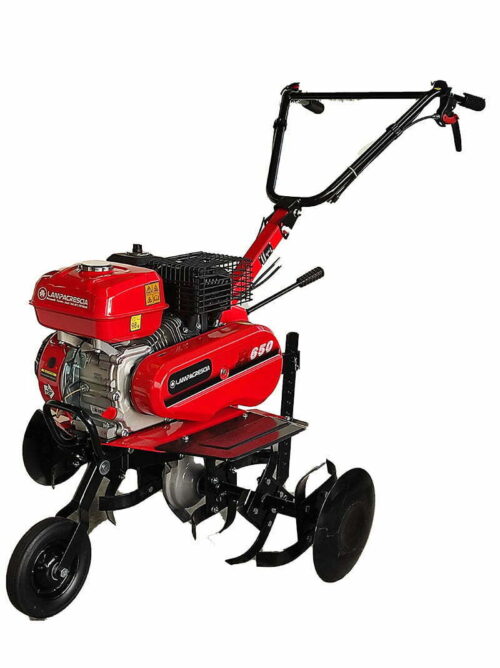 T650